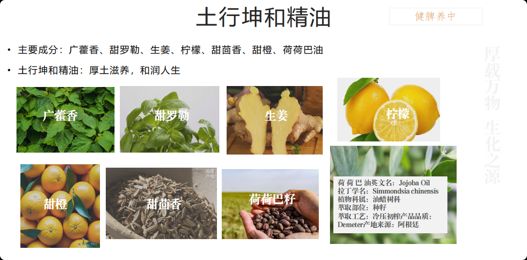 67d2957072618ebf6dec53de28f935b.png